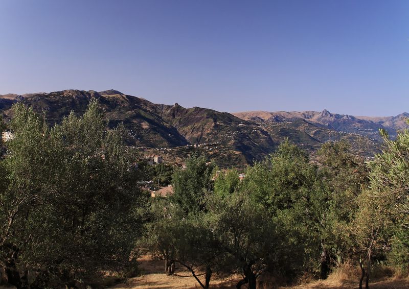 Sortie de l&rsquo;album «Isefra n tafrara » de Kader Meddour:  La tolérance et l’espoir par la poésie