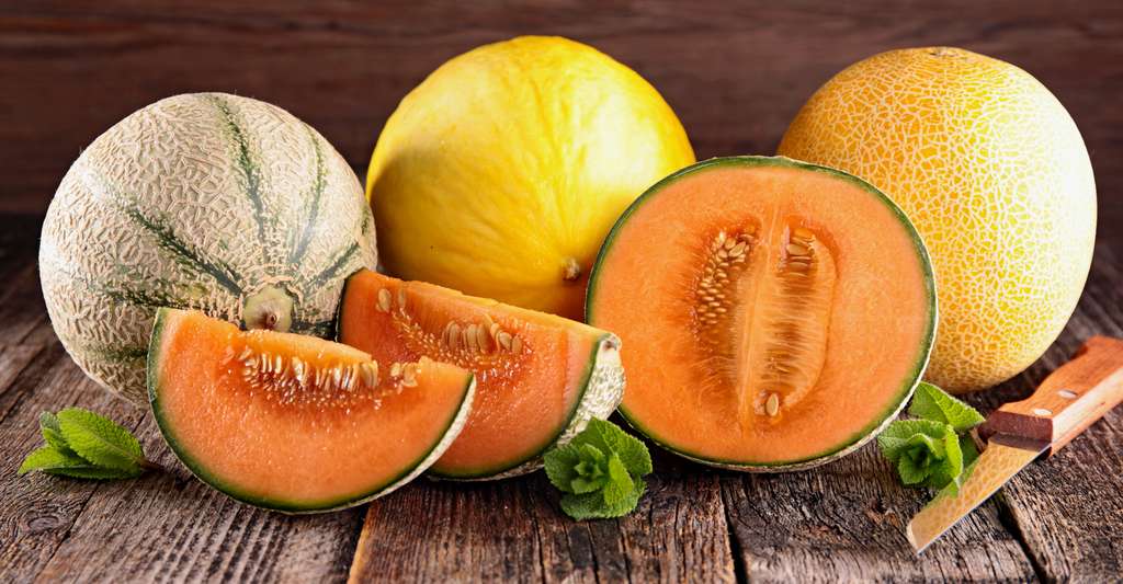 Santé : bienfaits et vertus du melon