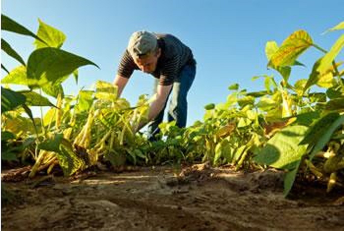 Programme pour le développement du secteur agricole: L&rsquo;UE « offre » 10 millions d&rsquo;euros à l&rsquo;Algérie