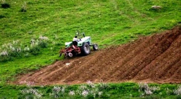 Tizi Ouzou: Turbulence dans le monde agricole