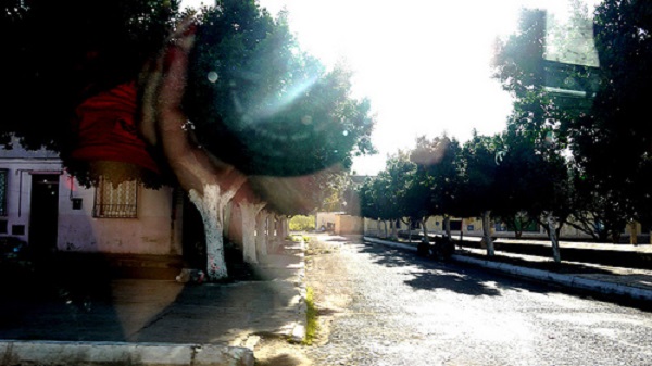 Aïn-Temouchent: Chentouf, ville la plus propre