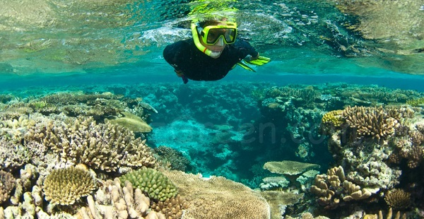 Les aires marines protégées atténuent les effets du changement climatique