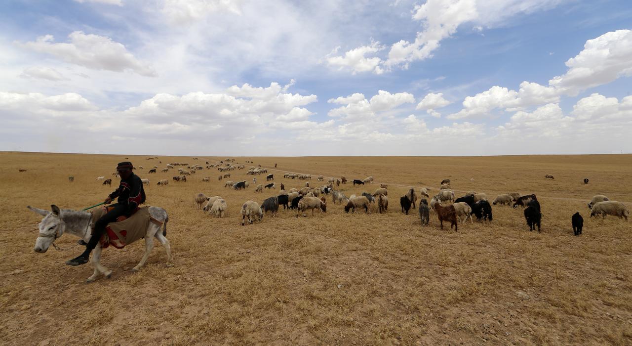 Tunisie : une famille endeuillée par une opération terroriste pour la seconde fois en deux ans