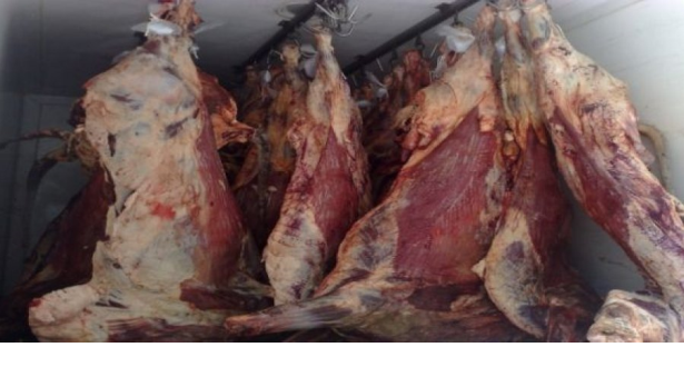 Les étals illicites foisonnent dans les marchés: Saisie d&rsquo;une tonne de viande d&rsquo;abattage clandestin à Hassi Bounif