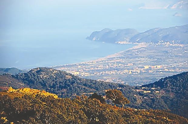 Pollution à Collo: La plaine de Taleza menacée