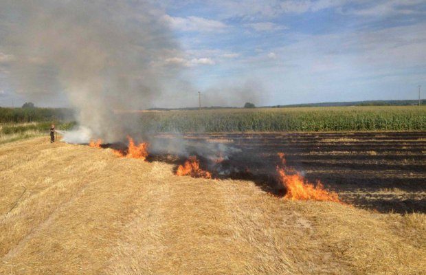 El Ançor : deux hectares de maquis et de broussailles ravagés par les flammes