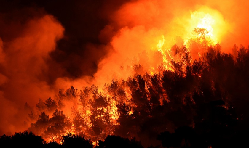 Feux de forêts à Yemma Gouraya:  676 incendies enregistrés en six mois