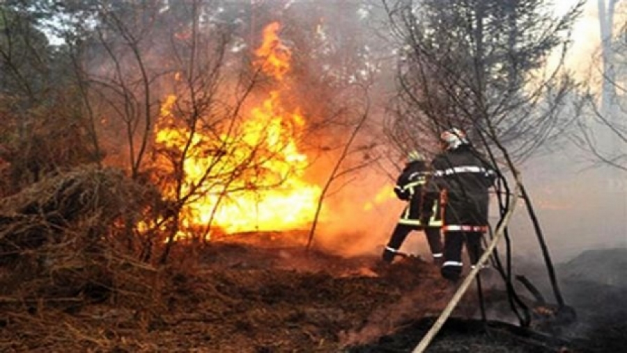 Bouira: 15 incendies en 2 jours