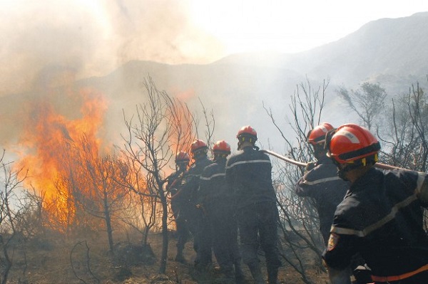 Constantine – Lutte contre les incendies: Des pompiers de Constantine à la rescousse de Skikda