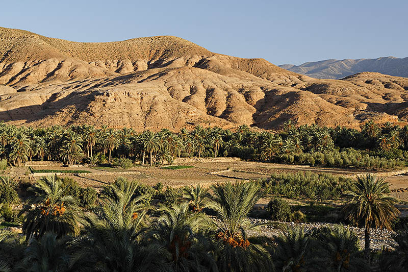 Algérie: 1er atelier international sur le patrimoine bâti dans les Aurès en juillet