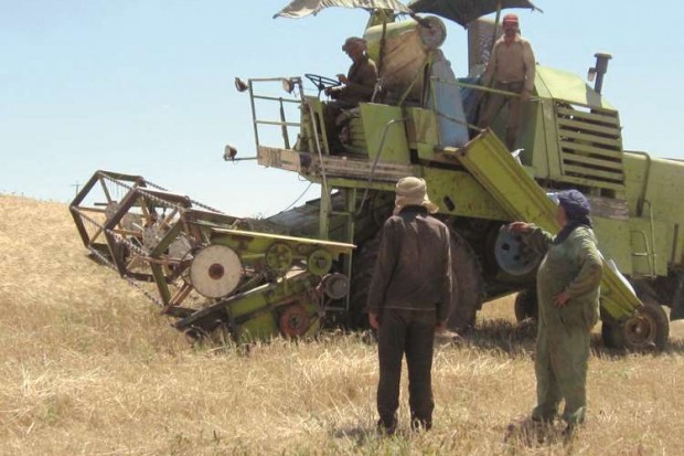 Tessala (Sidi-Bel-Abbès): Un quinquagénaire tué sous sa moissonneuse-batteuse