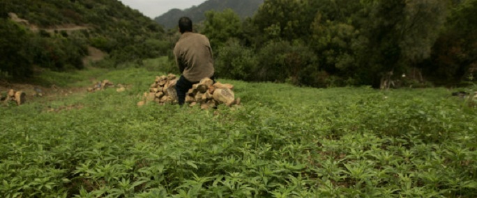 Le Maroc est le principal exportateur de résine de cannabis en Europe