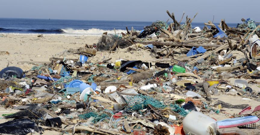 Saison estivale: 22 plages interdites à la baignade à Alger
