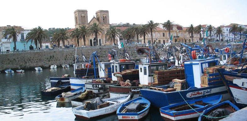 Une opportunité pour résorber le chômage parmi les marins pêcheurs: Des projets d’investissement dans le secteur de la pêche