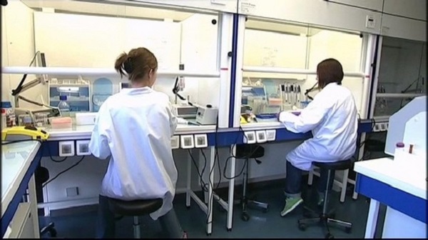 Recherche scientifique: ouverture de 81 nouveaux laboratoires de recherche