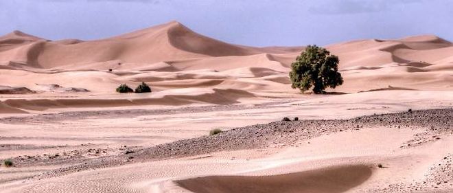 Alors que 52 migrants ont trouvé la  mort dans le désert: Niger : l’OIM en a sauvé 600 autres