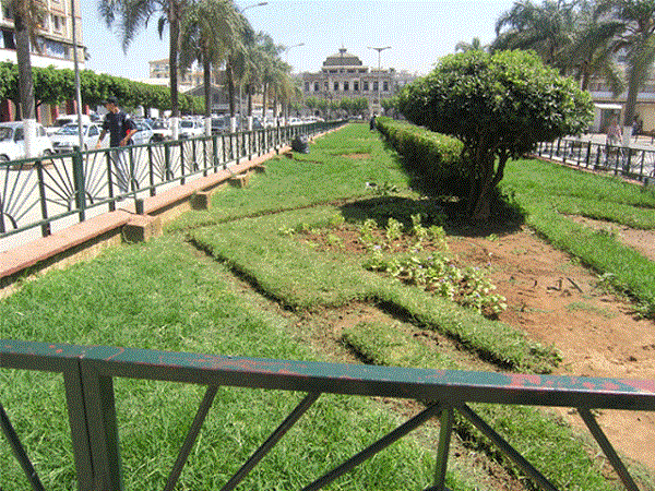 Tlemcen: Les espaces verts font des émules