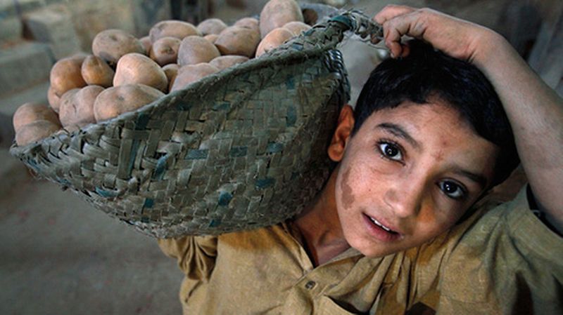 Journée mondiale contre le travail des enfants: Il ne dépasse pas 0,5% en Algérie