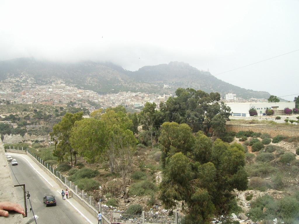 Les Planteurs, Ras El Aïn, terrain Chabat
: Plus de 200 nouvelles constructions illicites érigées récemment