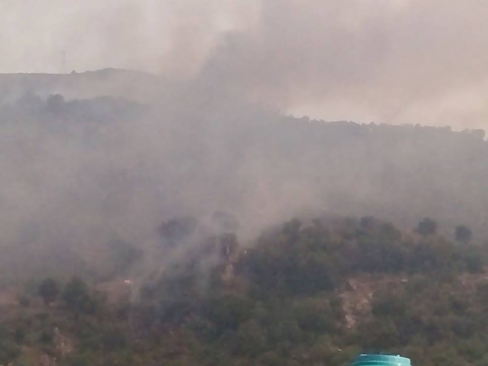 Canicule: Une forêt ravagée par des flammes monstrueuses à Tifra (Vidéo)