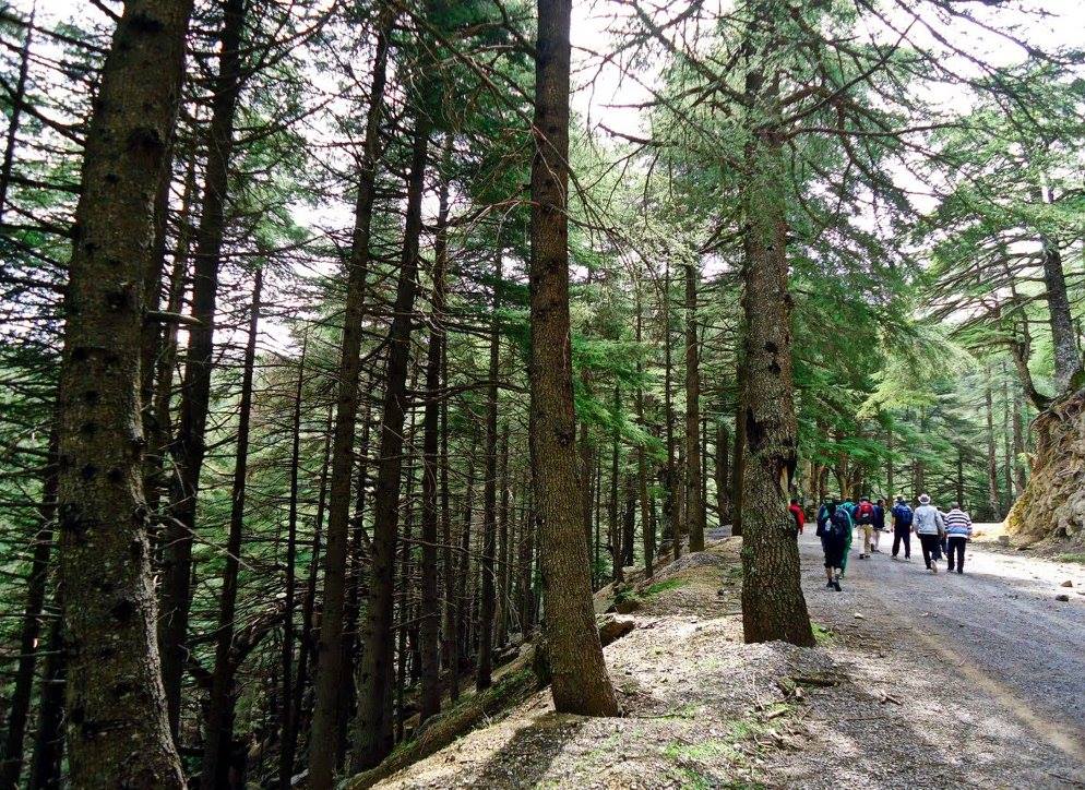 Tizi-Ouzou : Que revive Tala Guilef