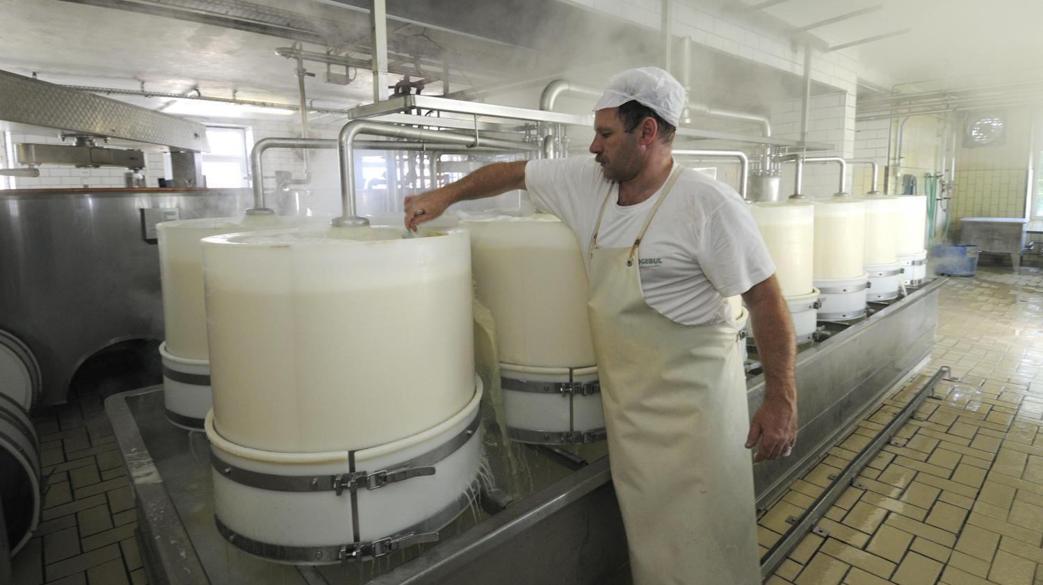 Investissement agricole à Oran: Le groupe Agros intéressé par la filière lait