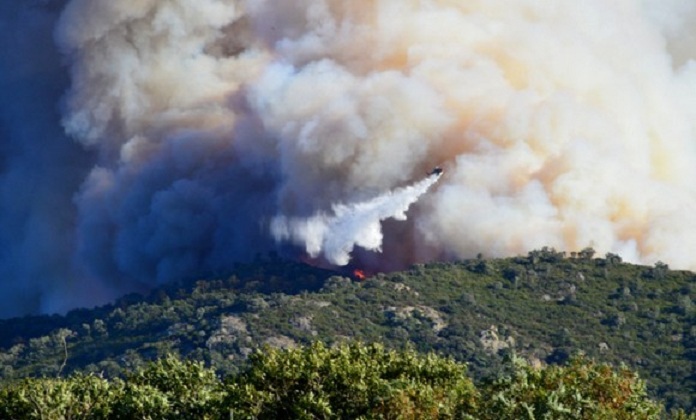 Violent incendie de forêt à la frontière franco-espagnole