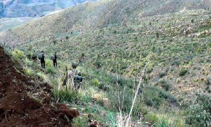 2 casemates pour terroristes découvertes à Skikda et 5 bombes artisanales détruites à Médéa (MDN)