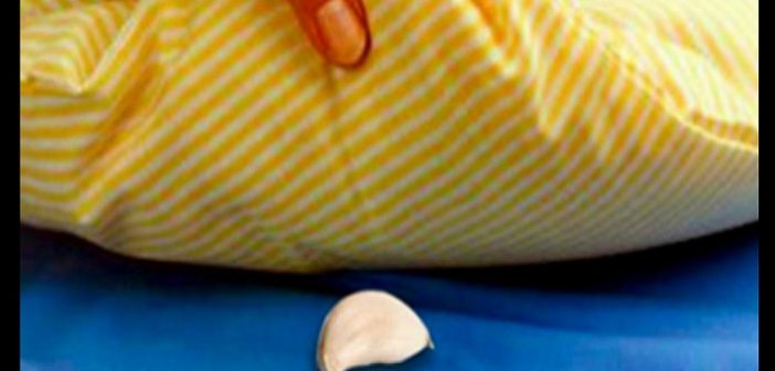 Pourquoi mettre une gousse d’ail sous son oreiller