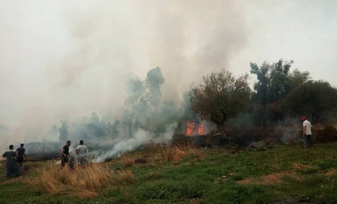 Vidéo: Incendies à Azazga, des habitations menacées