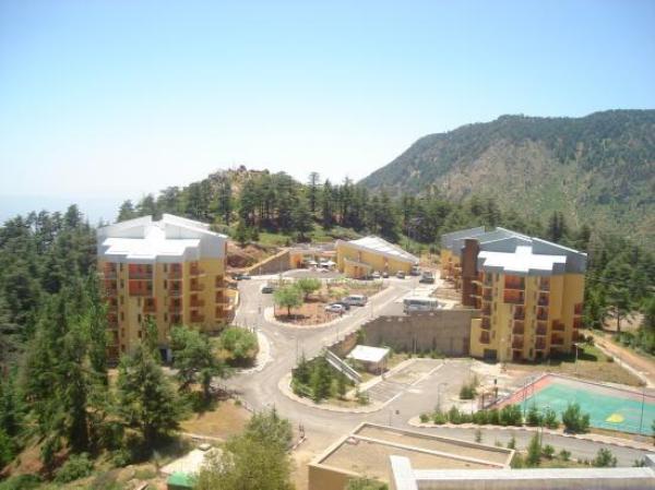 Smaïl Meziani, Directeur général du CNSLT «On attend plus de 22 500 locataires»