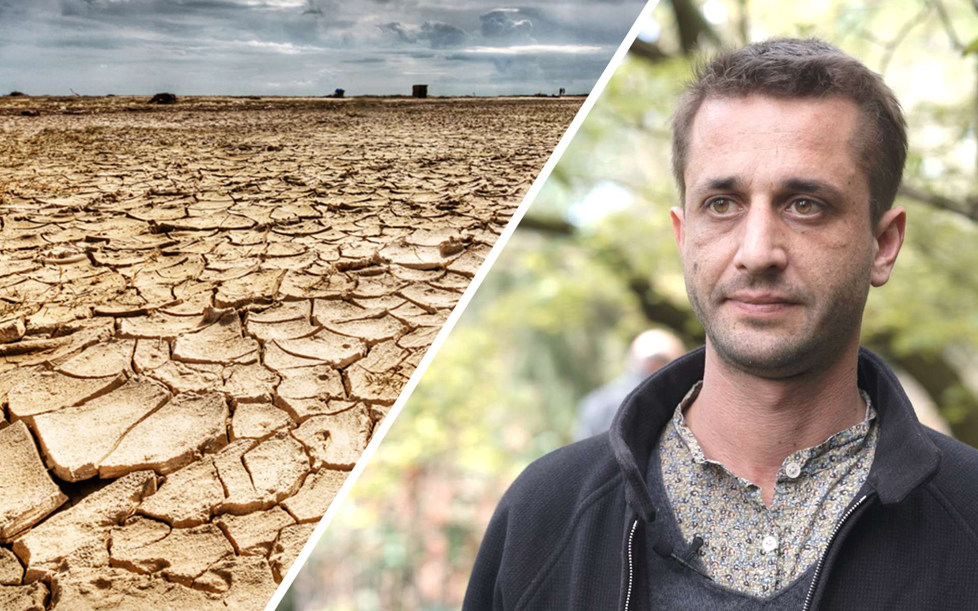 Quel est l&rsquo;impact du réchauffement climatique sur les insectes ?