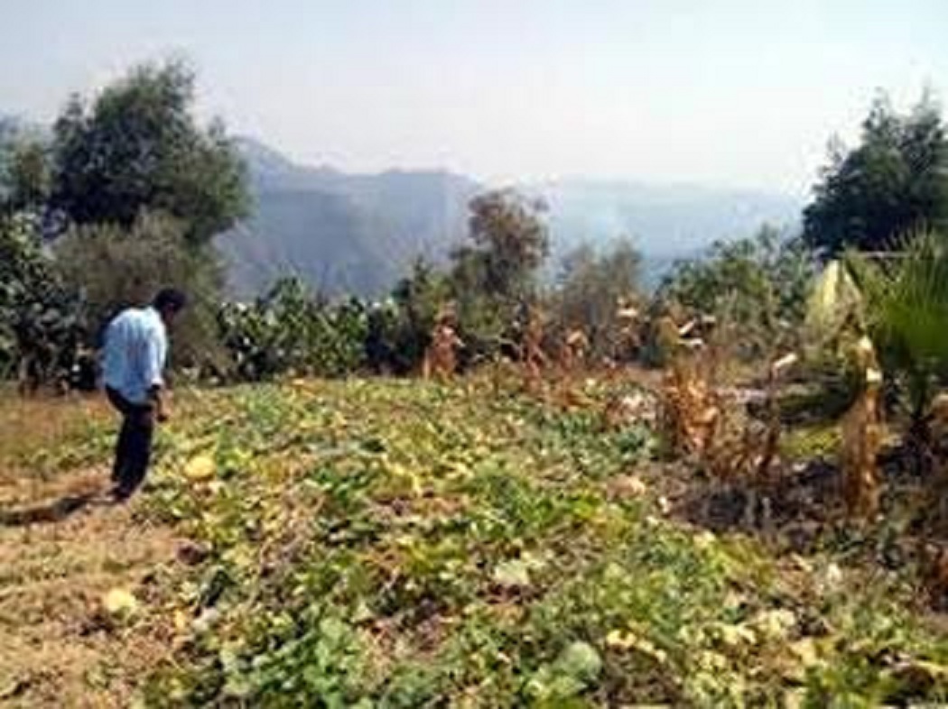 Bouira: Un relief montagneux inexploité