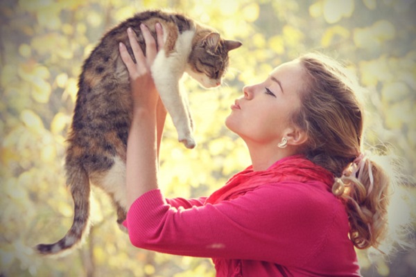 La domestication du chat a eu lieu à deux reprises