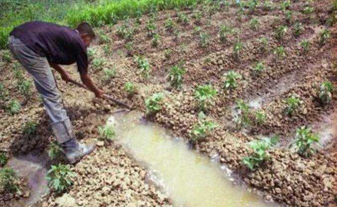 Politique de rationalisation des dépenses: L’UNPA salue la décision de Tebboune