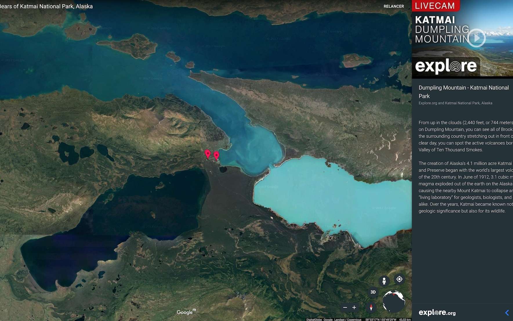 Google Earth Live filme des ours bruns en pleine chasse au saumon !