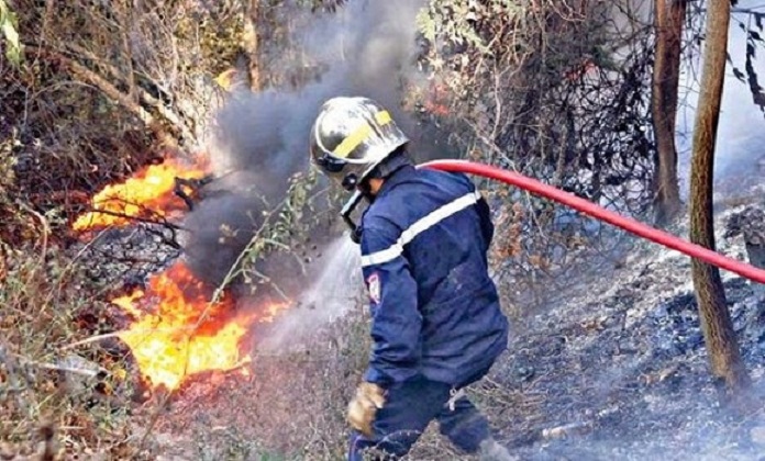 Feux de forêts: plus de 6.000 ha touchés depuis début juin