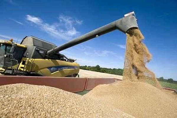 Rapport US sur les importations de céréales: L’Algérie au 3e rang mondial
