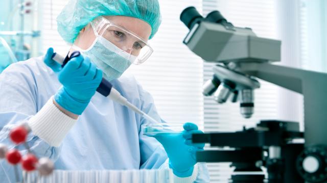 Trump inquiète les chercheurs à propos du Sida