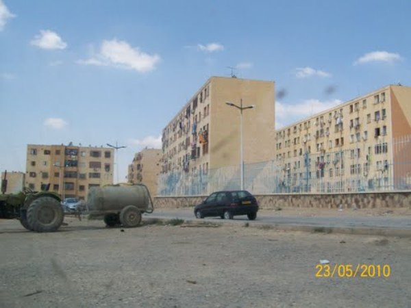 Relizane: Espaces verts mal entretenus