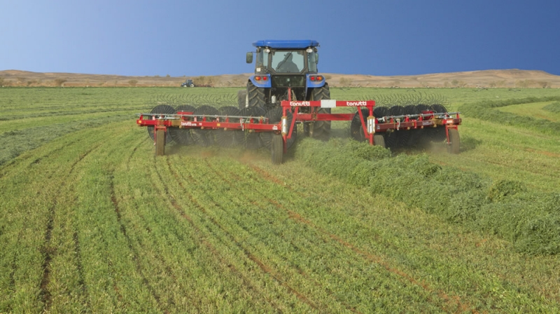 Algérie: 2.810 hectares, irriguée sous pivots, consacrés aux cultures fourragères dans la wilaya de Ghardaïa