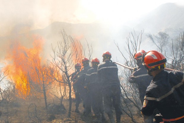 Après les sinistres causés par les feux de forêt:  Béjaïa : les engagements de la wilaya