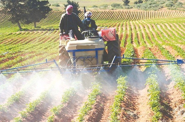 Algérie: Projet de création de deux nouveaux périmètres agricoles à Illizi