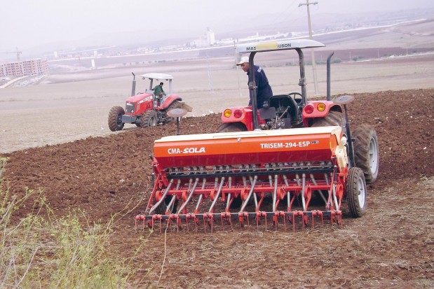 Boumerdès : La production agricole atteint les 79 milliards de dinars