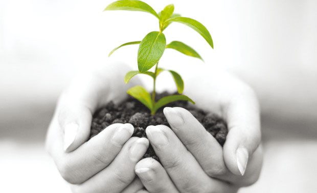 Aïn Témouchent: Le président de l’association «La main verte» dénonce l’administration