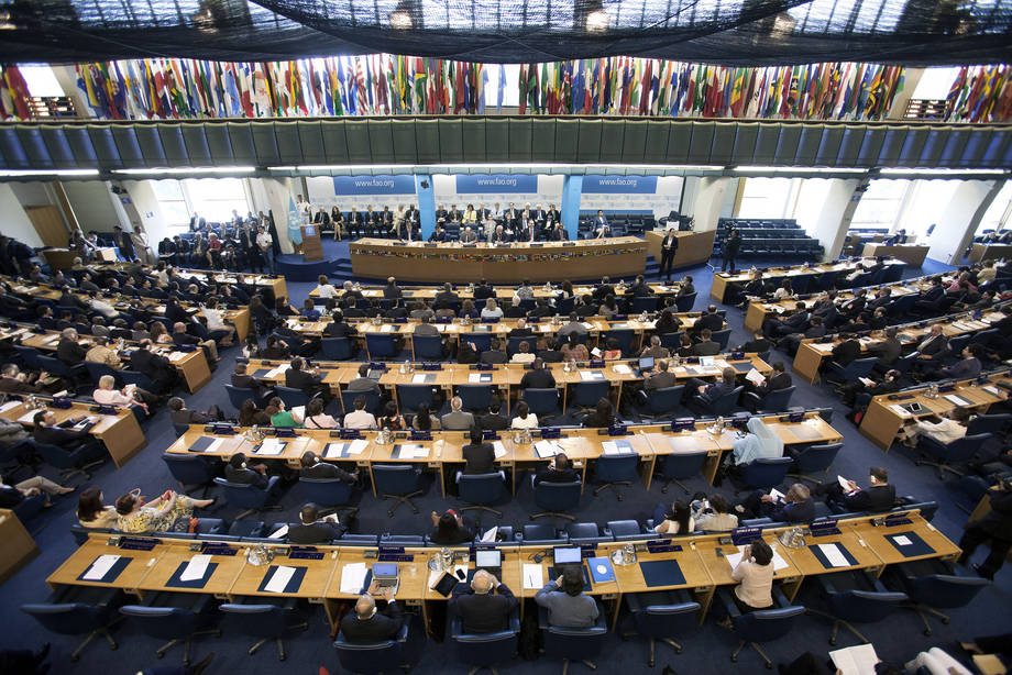 Coopération entre l&rsquo;Algérie et la FAO pour préserver le patrimoine agricole algérien