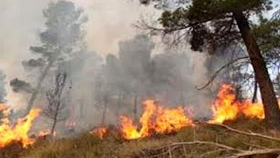 Le village a été cerné par les flammes: Il y a eu peur sur Ilyiten