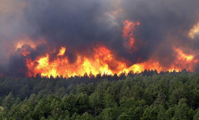 Borj Bou Arréridj: 17 incendies entre juin et juillet