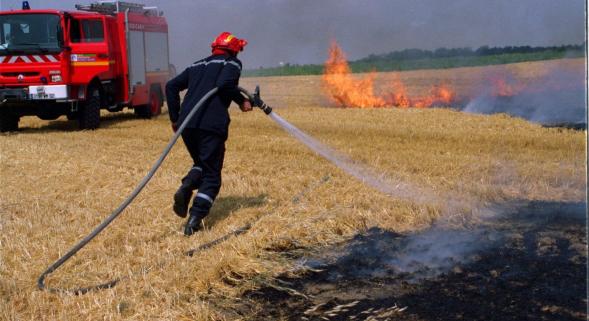 El Tarf: Canicule et incendies