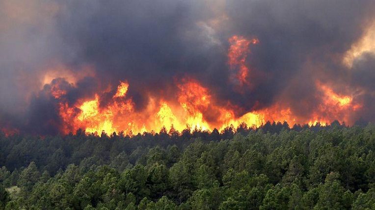 Pour indemniser les céréaliculteurs à Tizi Ouzou: 3,6 millions de DA mobilisés